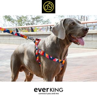 Dog Seat Belt Harness Fabric Pattern Dog Harness with 3 sizes