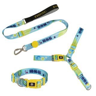 Various kinds pattern of dog collar and leashes set custom dog harness