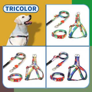 Fuzhou Everking pet leashes collar and harness manufacturer in China