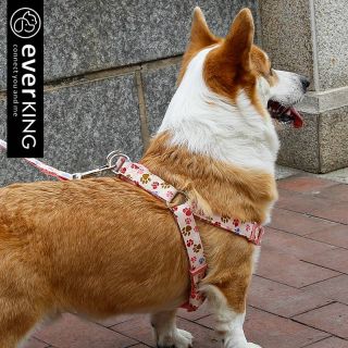 Different style custom Nylon Dog Collar Leash for sale cotton pet lead