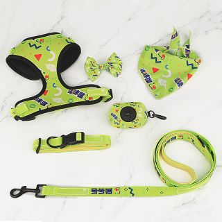 Waterproof designer dog collar and lead custom harness and leash set