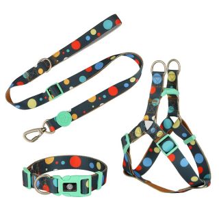 Puppy lead and collar set for pet custom dot design adjustable harness