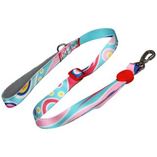 Custom Dog Leashes Polyester Puppy Cat Dog lead with Neoprene handle