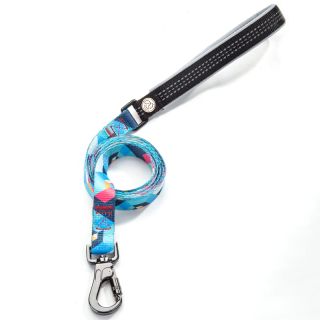 Everking Friendly dog collar and leash pretty pet products for sale