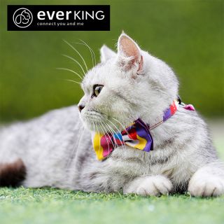 cat collar wholesale small size cat collar with bow tie for walking