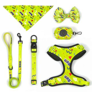 Factory OEM Custom Logo 6pc/set dog harness collar and lead set