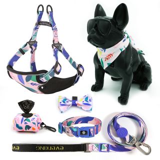 Jecikelon Bow Tie Dog Harness and Leash Set Classic Simple Style Dog Lead Adjustable Dogs Harness Training Dog Leash for Small Dogs 