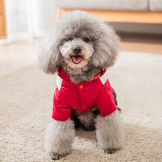 OEM/ODM Luxury Winter Dog Clothes Pet Jacket Designer Dog Clothing