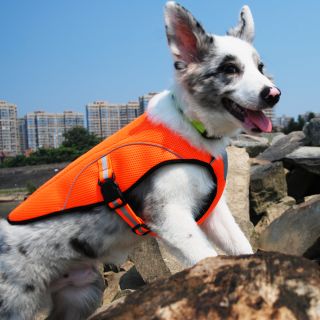 Everking Pet summber cooling clothes breathable dog mesh jackets