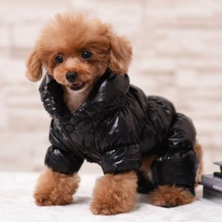 Print waterproof dogs coat life winter puffer dog jacket pet clothes