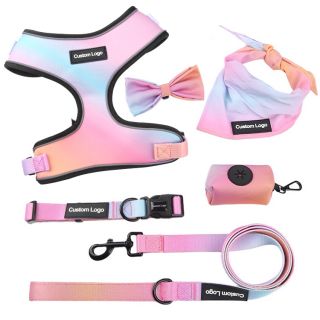 Tailorpaws Manufacturers Oem Personalized Custom Luxury Neoprene Adjustable Escape Proof Pet Harness