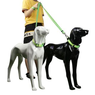 Customizable Multi-Functional Double Dog Leash with Reflective Design