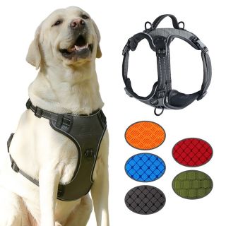 Customizable Oxford Pet Harness with Neoprene Handle, Zinc Alloy Leash Hook, and Adjustable Buckle
