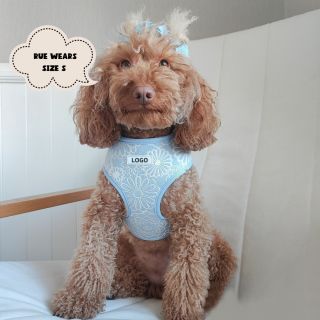 Fresh Blue Floral Dog Harness Set Custom Logo and Sizes Available Funpet