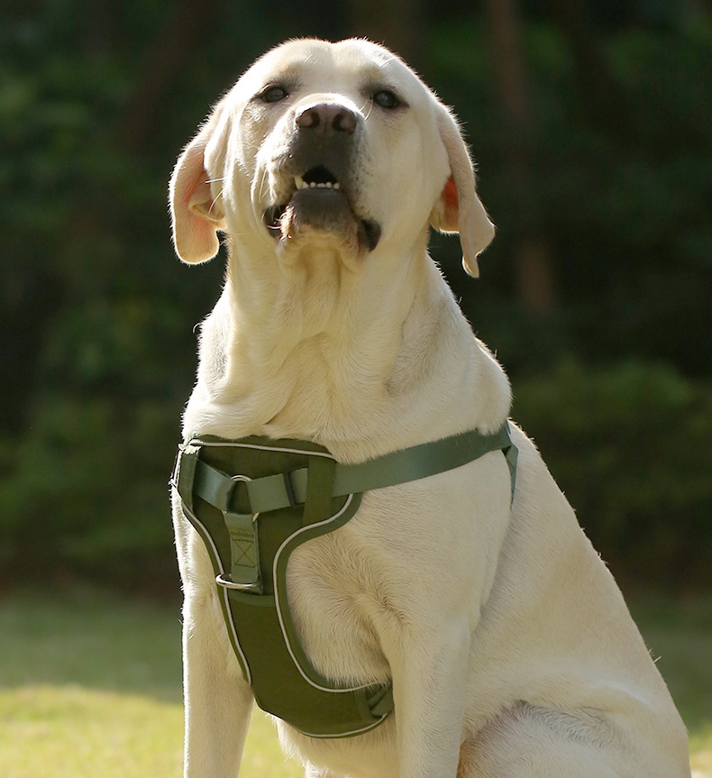 详情页13_1755765639.jpg 详情页13.jpg