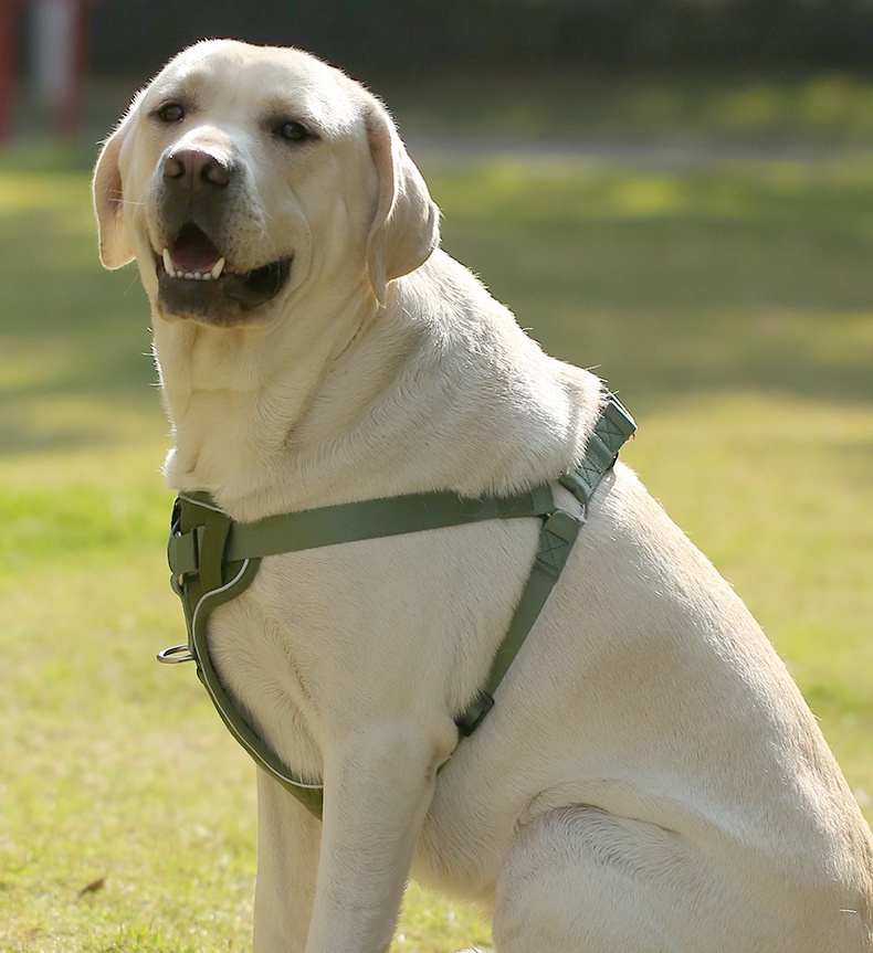 详情页14_1755765642.jpg 详情页14.jpg