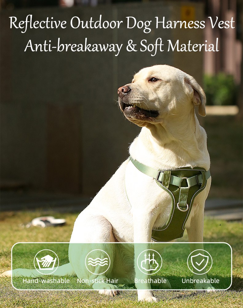 详情页1_1755765602.jpg 详情页1.jpg