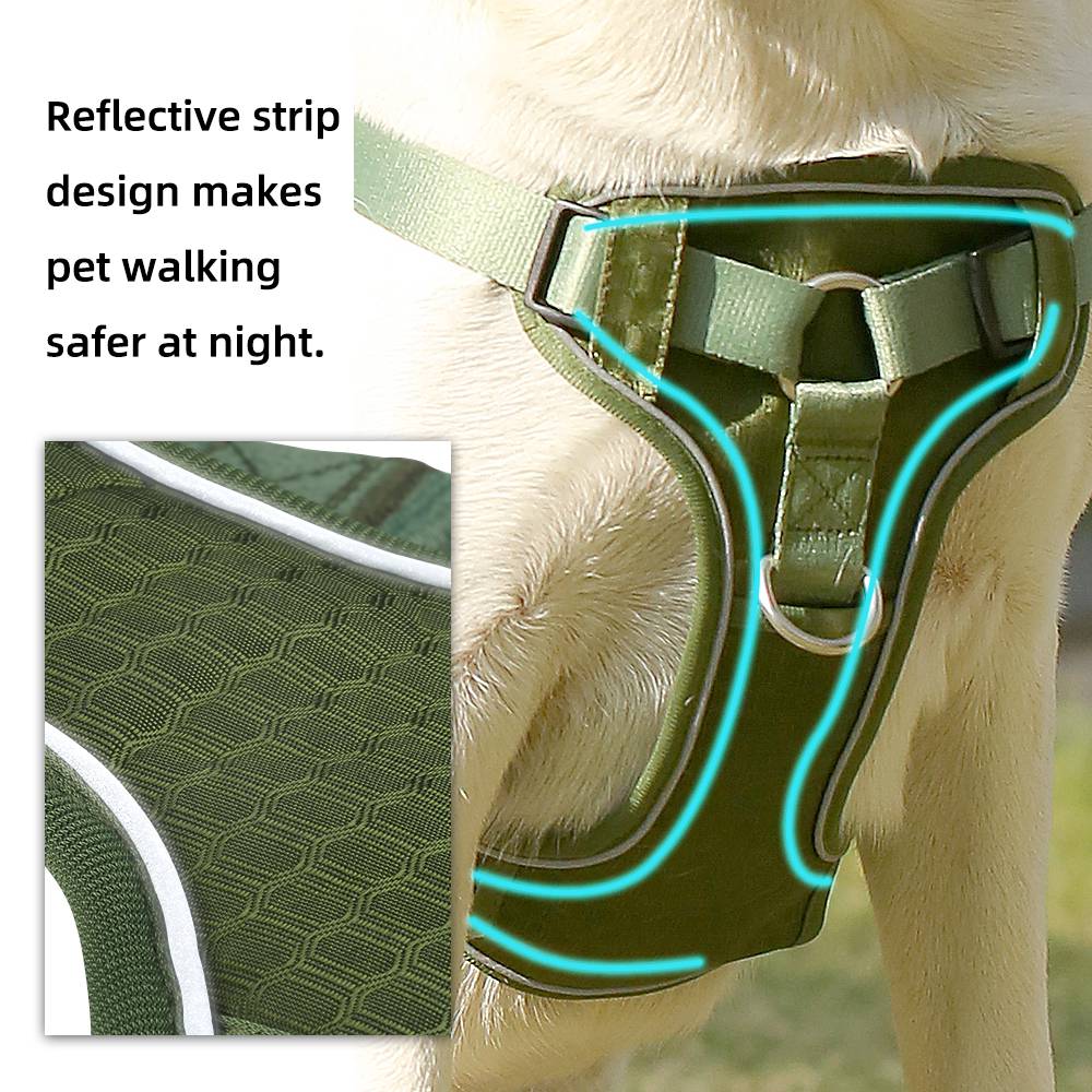 详情页3_1755765609.jpg 详情页3.jpg