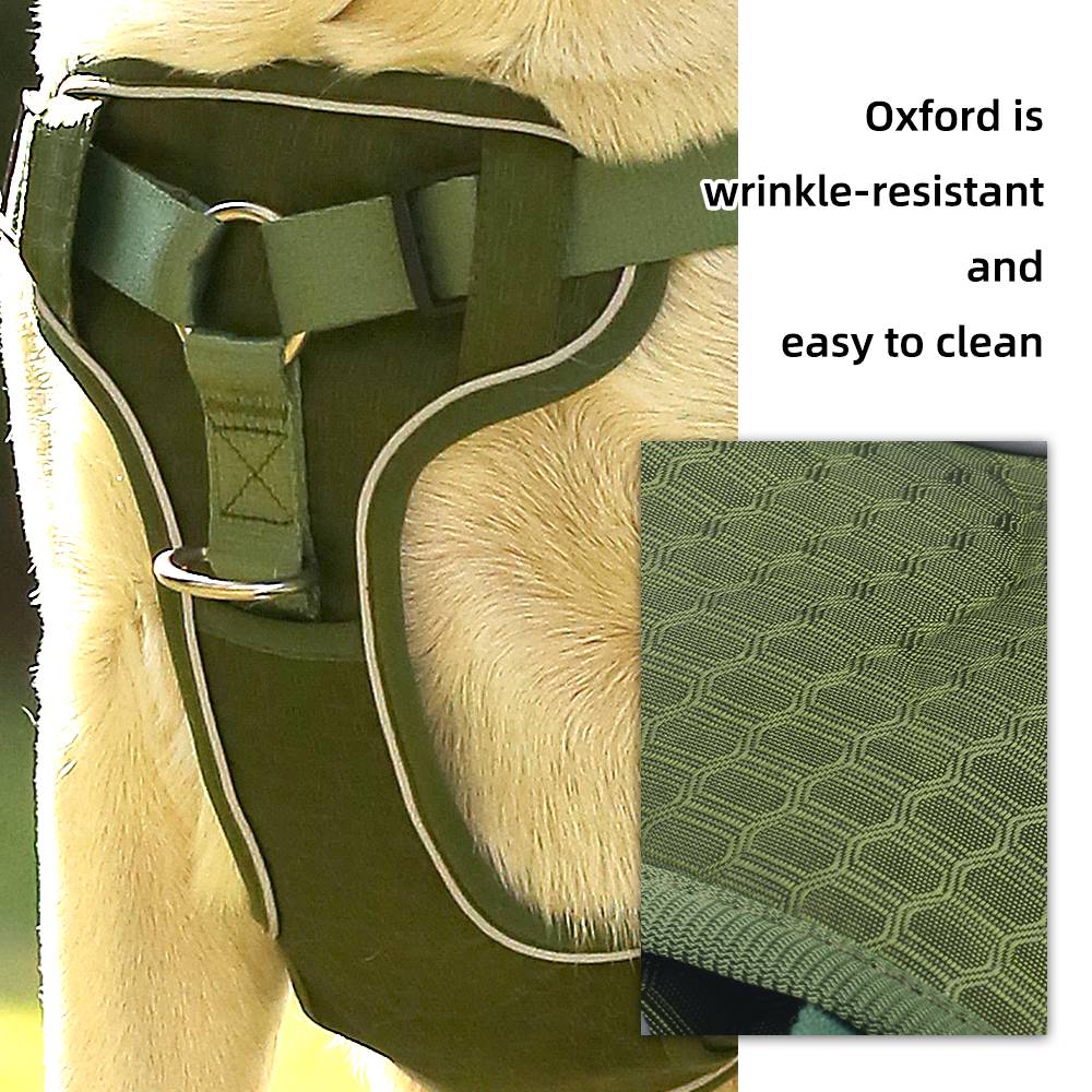 详情页4_1755765611.jpg 详情页4.jpg