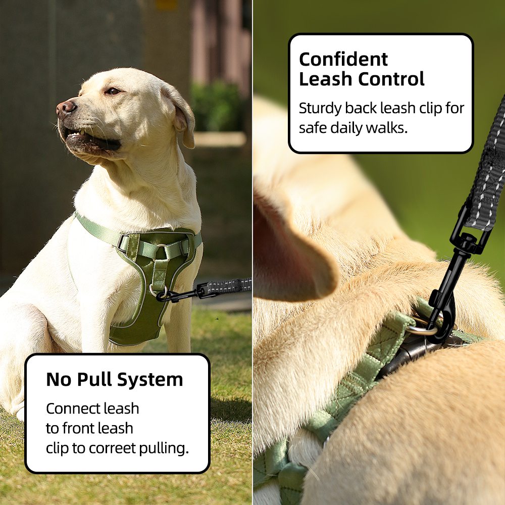 详情页7_1755765620.jpg 详情页7.jpg