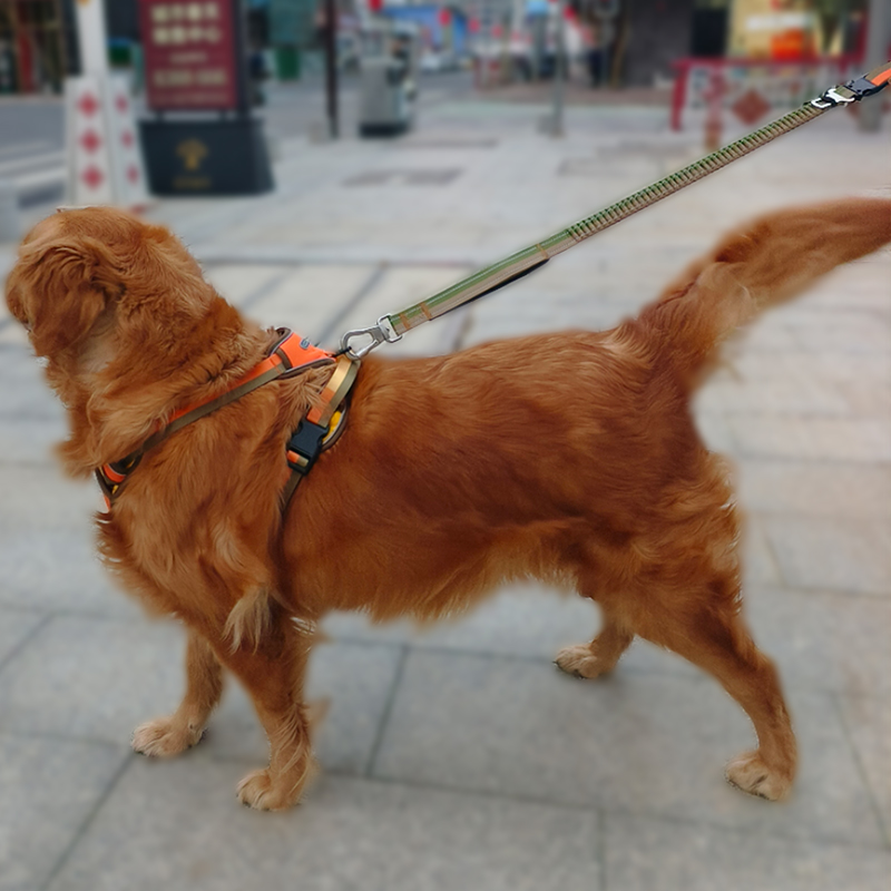 How to Choose the Best Pet Harness for Your Dog Neoprene,Oxford Cloth,PU Leather Options