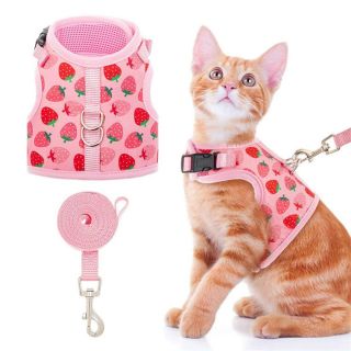 Custom Mesh Cat Harness & Leash Set – Adjustable, Personalized, Comfortable Walking Solution