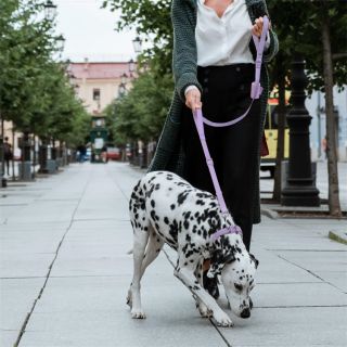 Custom Logo Heavy Duty Neoprene Dog Lead With 2 Handles Double Handle Dog Leash Double Handle