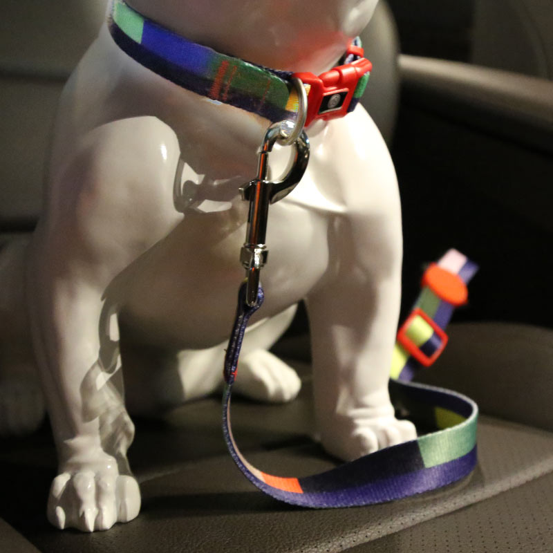 The Importance of Pet Seat Belts and a Guide to Choosing the Best One for Your Dog