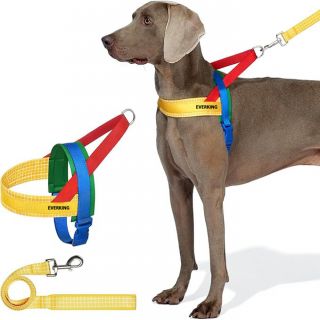 Factory Wholesale High-quality Customizable logo Luxury Dog Harness Set Durable Dog comfort Harness