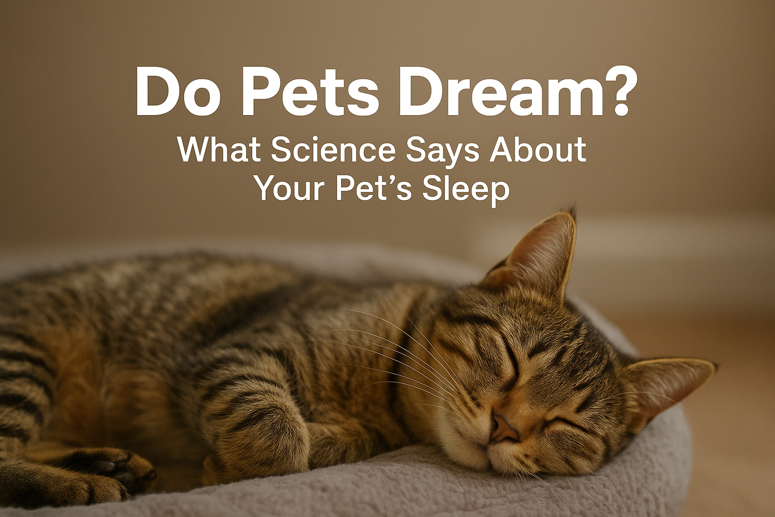 Do Pets Dream When They Sleep? A Closer Look at Your Furry Friend’s Night Life