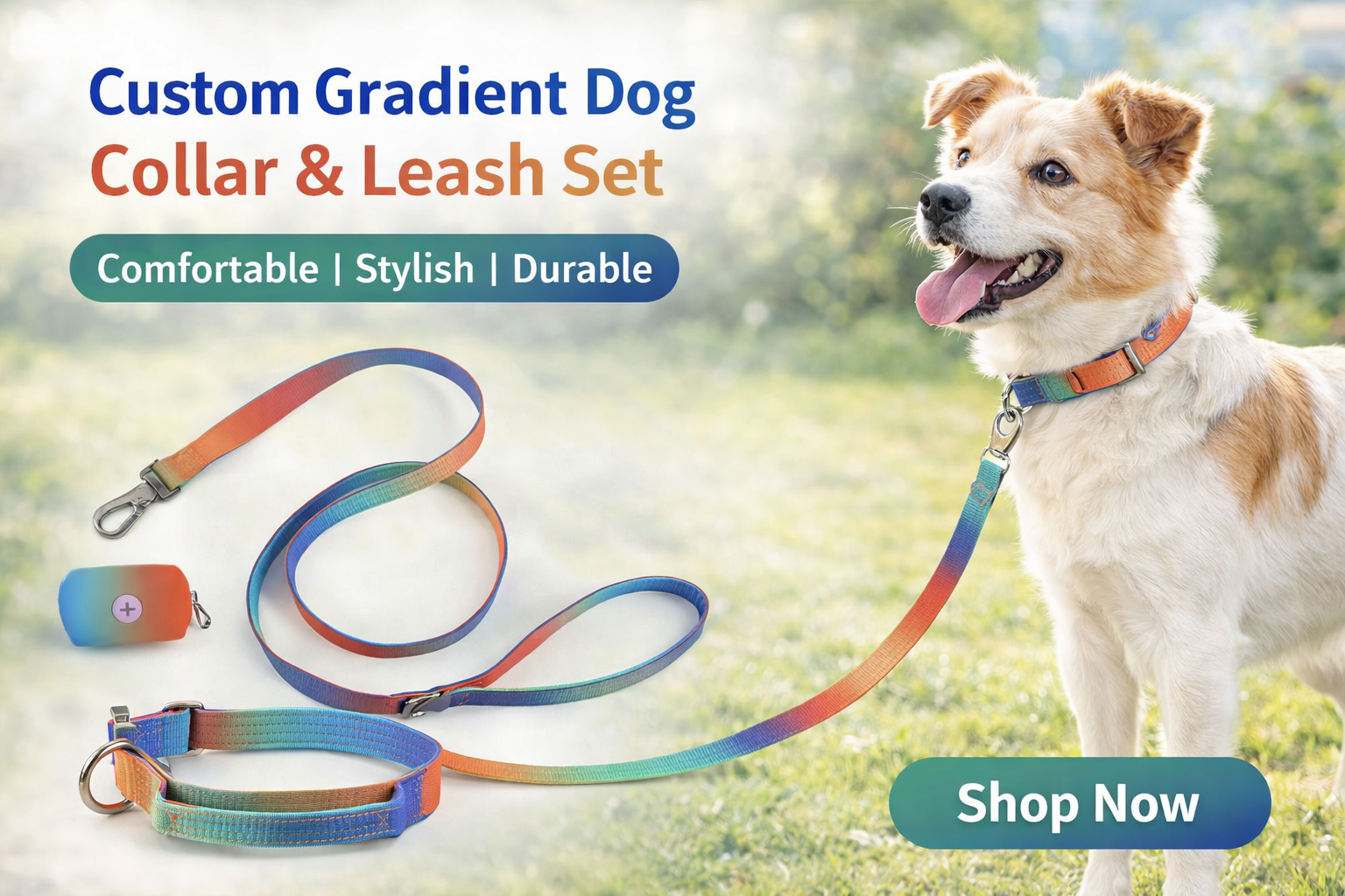 Choose the Most Comfortable Collar and Leash Set for Your Dog