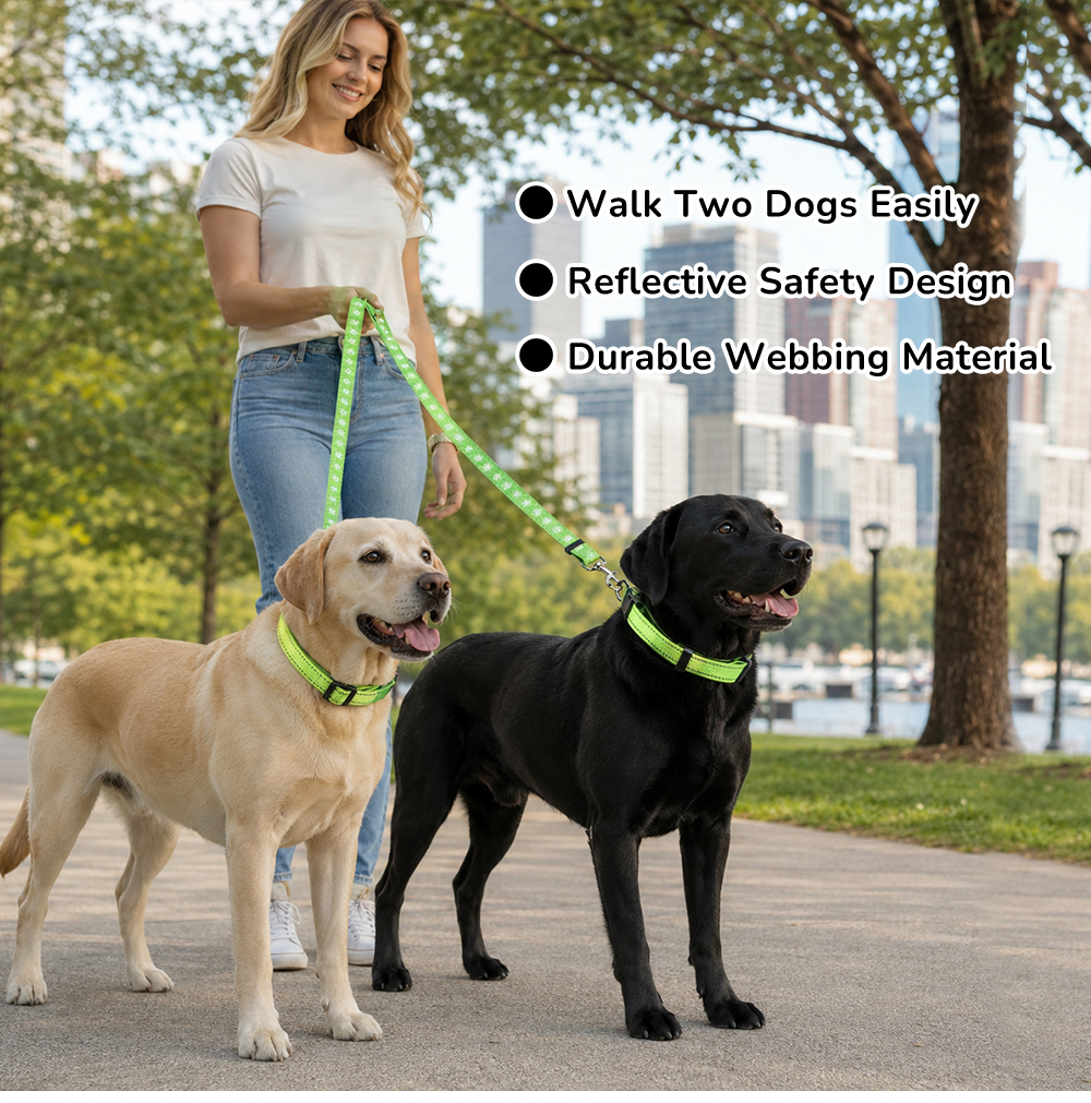 Custom reflective double dog leash for walking two dogs