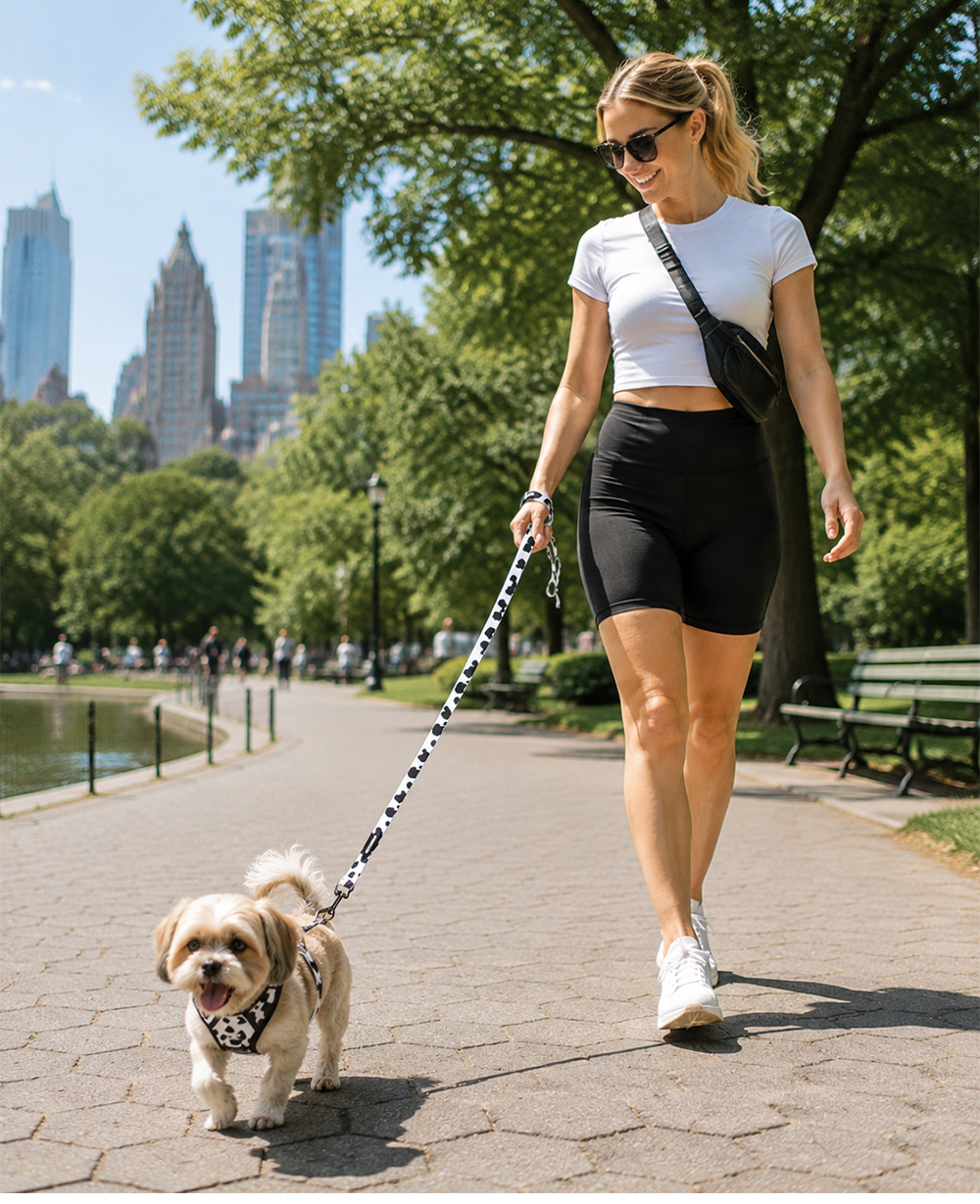 Reflective comfort dog harness set made with pet-safe materials
