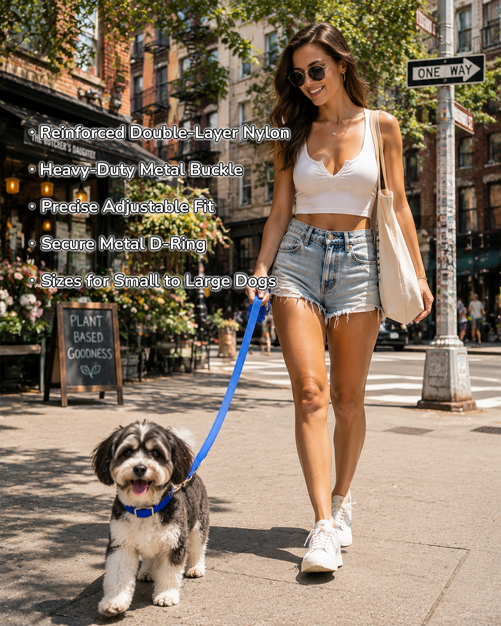 Heavy-duty double-layer nylon dog collar with metal buckle