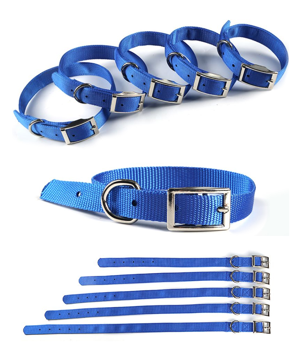 Durable metal buckle and D-ring details on double-layer dog collar