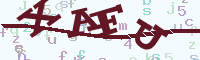 reload image