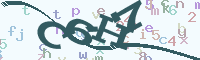 reload image