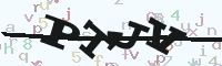 reload image