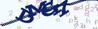 reload image