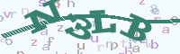 reload image