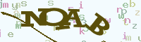 reload image