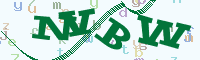 reload image