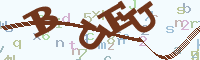 reload image