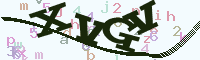 reload image