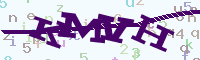 reload image