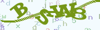 reload image