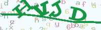 reload image