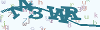 reload image