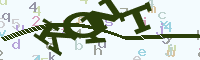 reload image