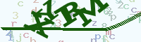 reload image